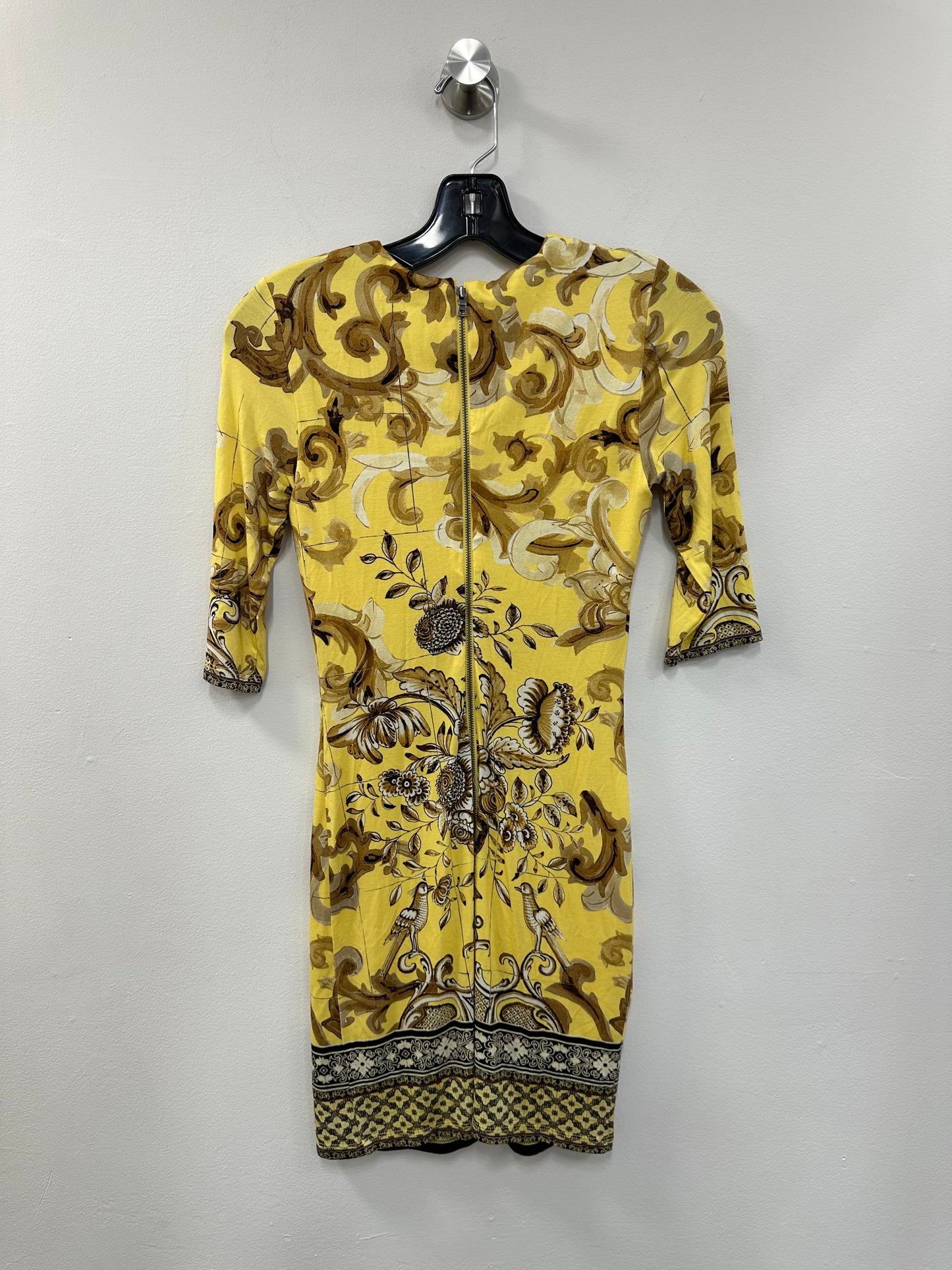 Alice & Olivia Dress