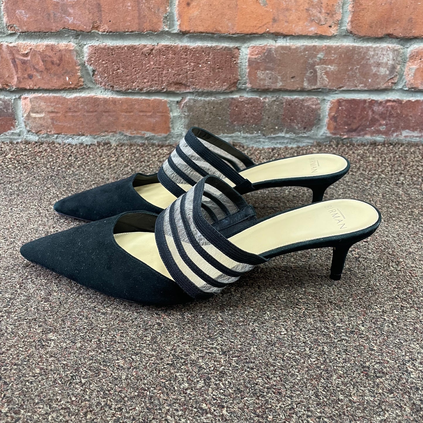 Alexandre Birman heel