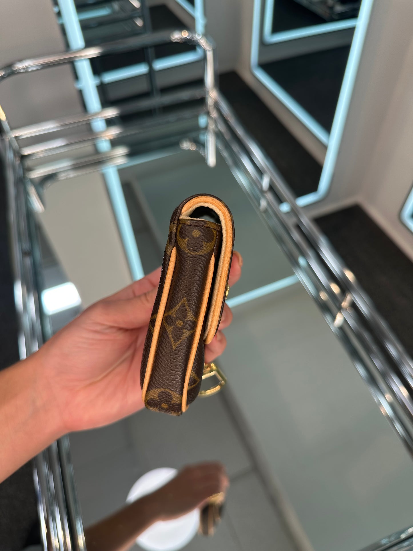 Louis Vuitton Mini Pouch