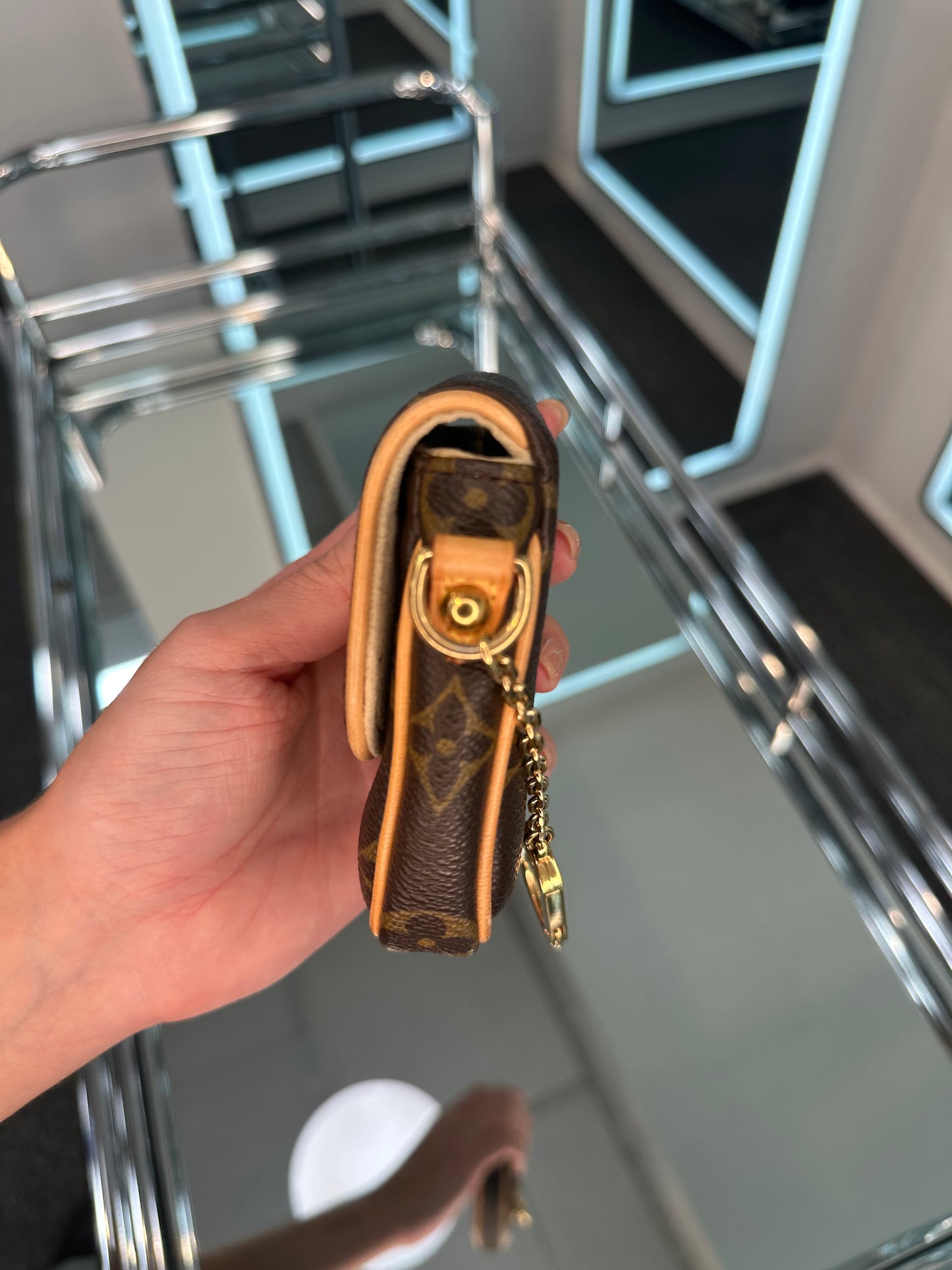 Louis Vuitton Mini Pouch
