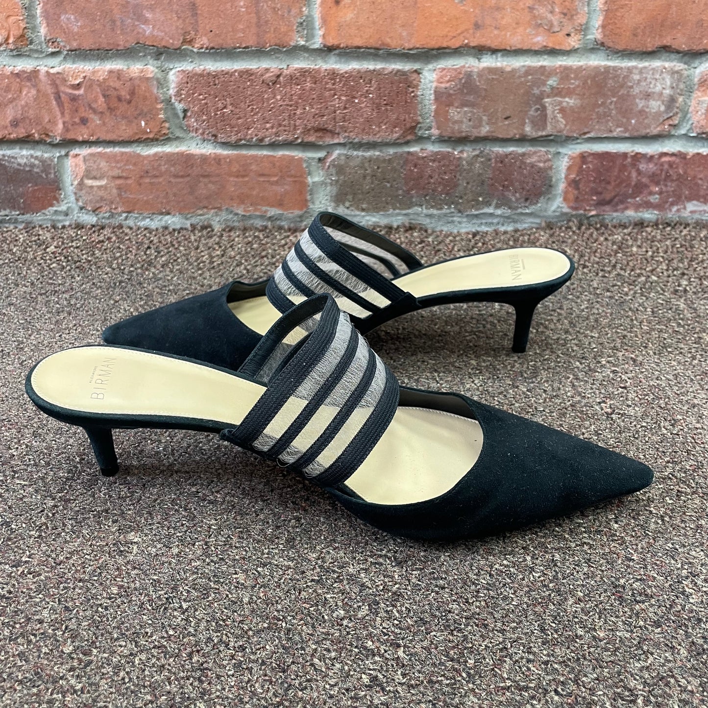 Alexandre Birman heel