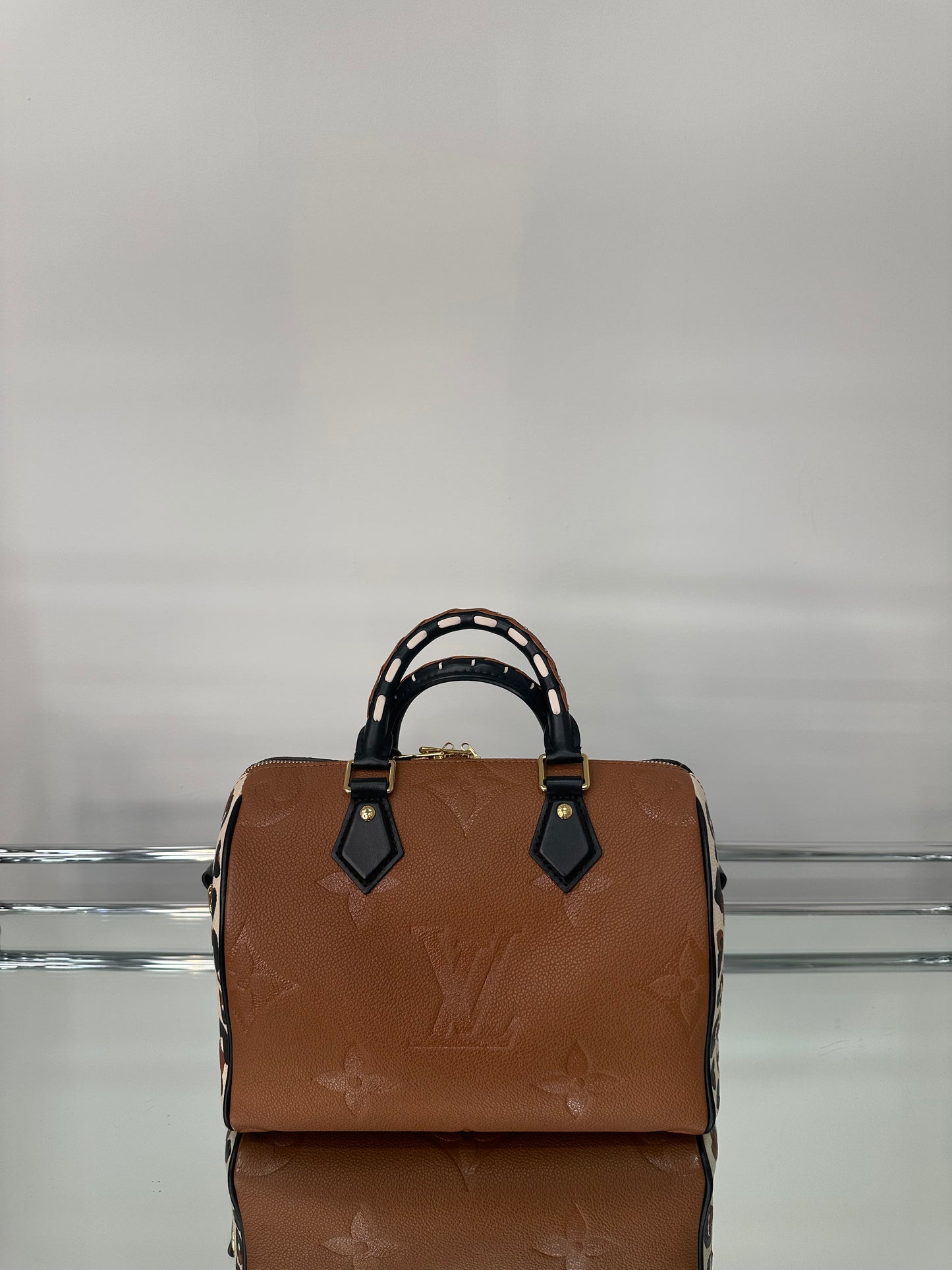 Louis Vuitton Speedy 25