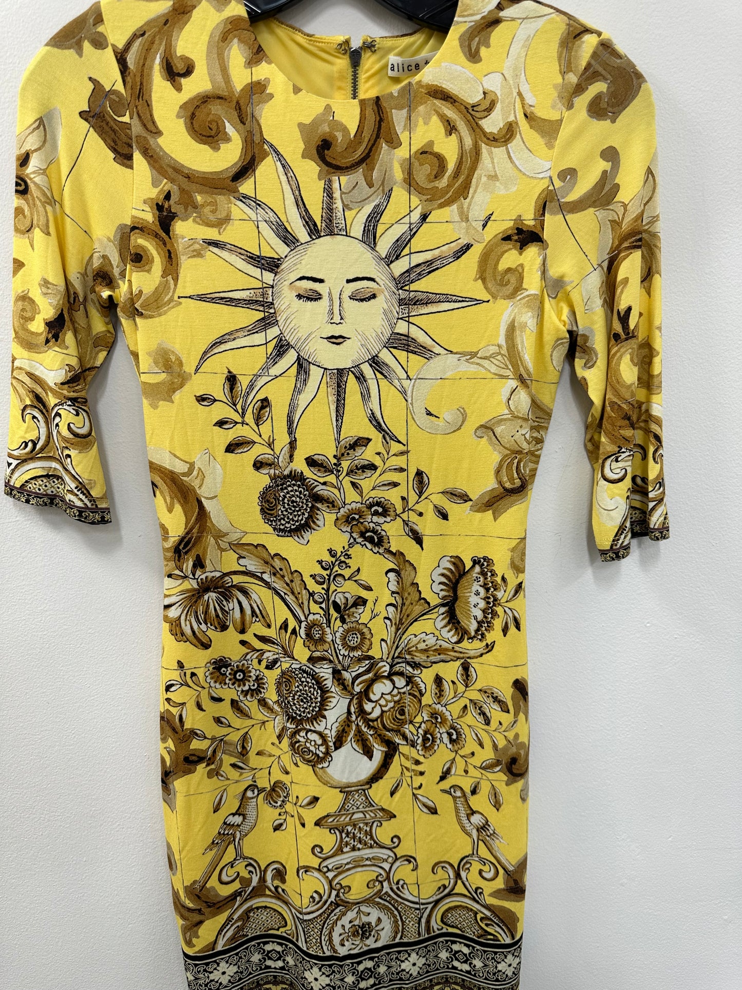 Alice & Olivia Dress