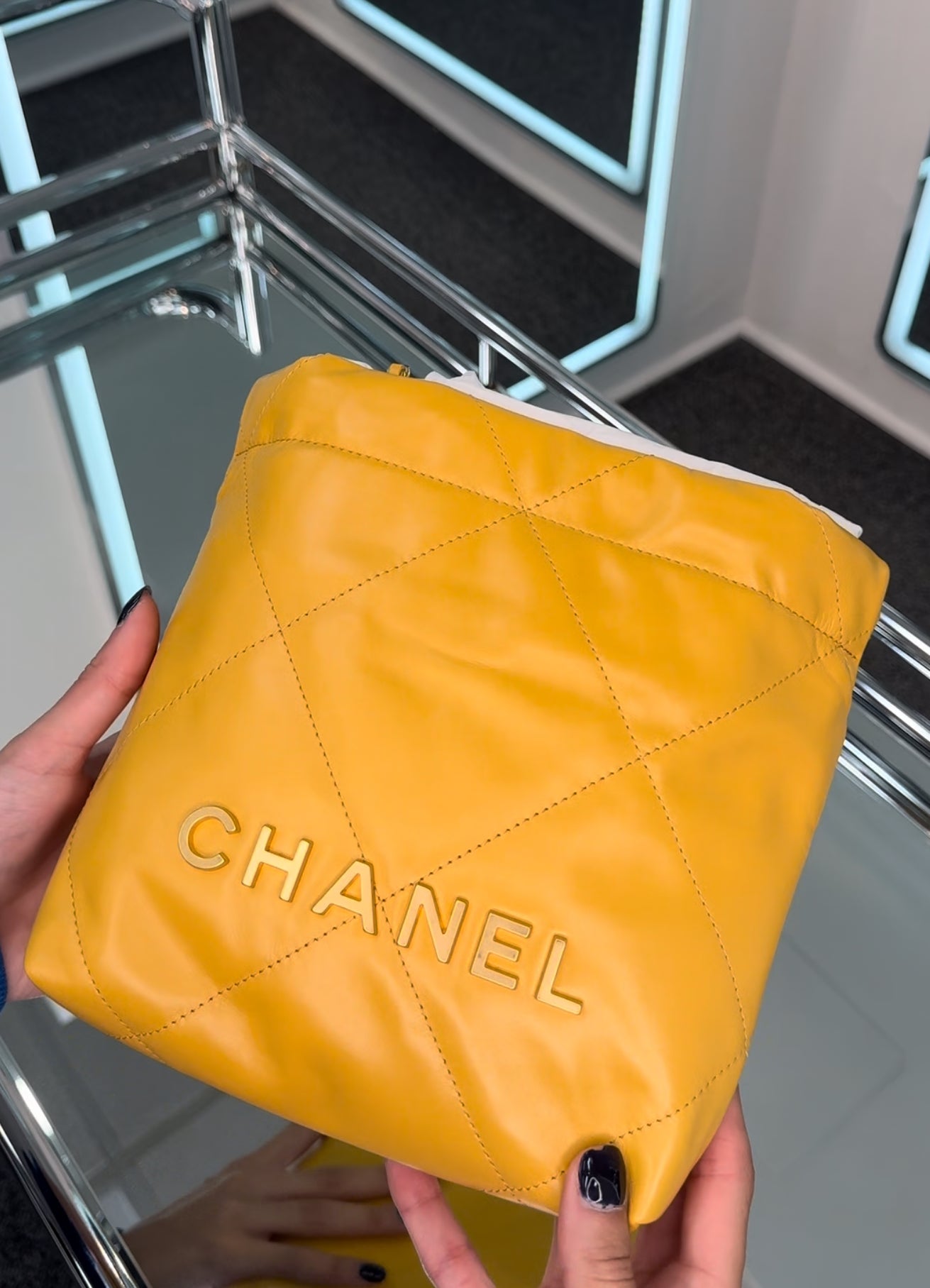 Chanel Hobo