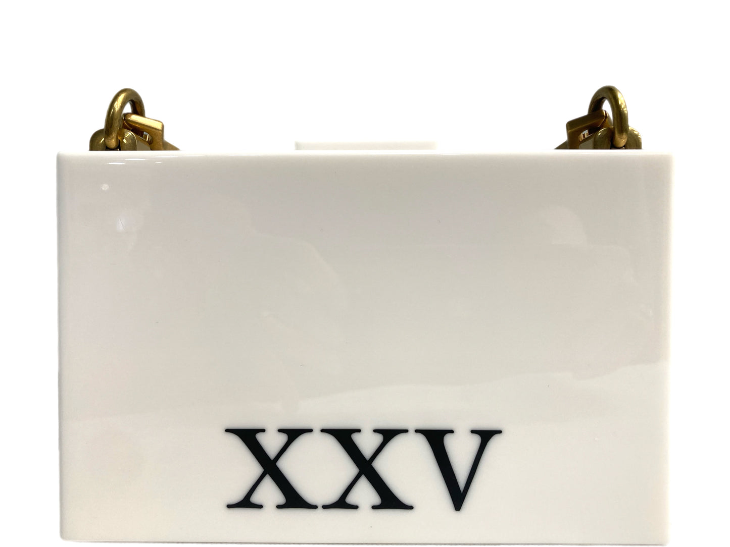 GUCCI Acrylic Cat Motif Shoulder Bag Ivory